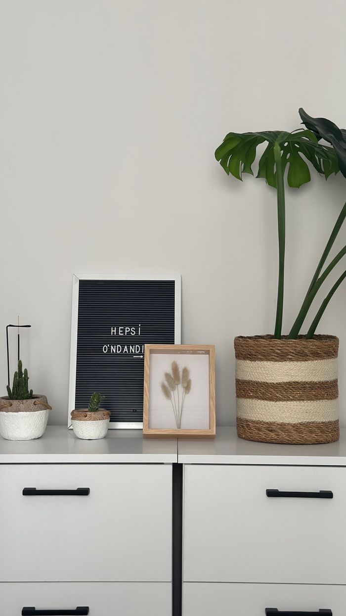 A stylish minimalist home decor featuring potted plants and framed art on a dresser.